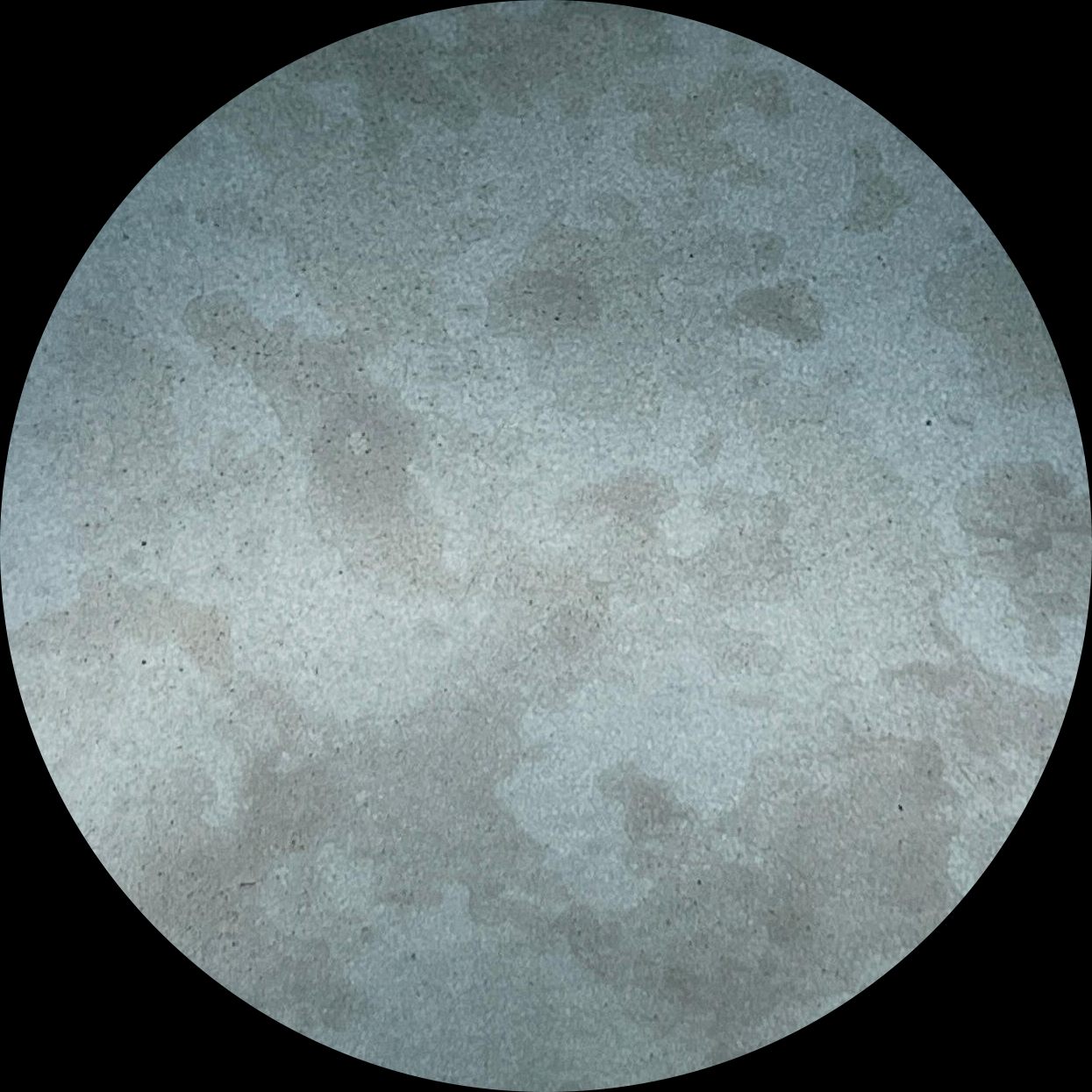 17) S.S. Antique Black Blue-2