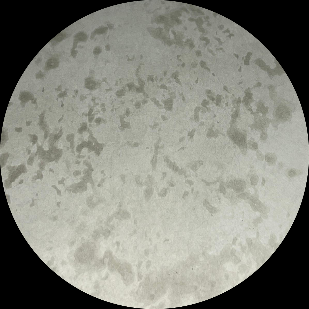 15) S.S. Antique Silver Gray-2