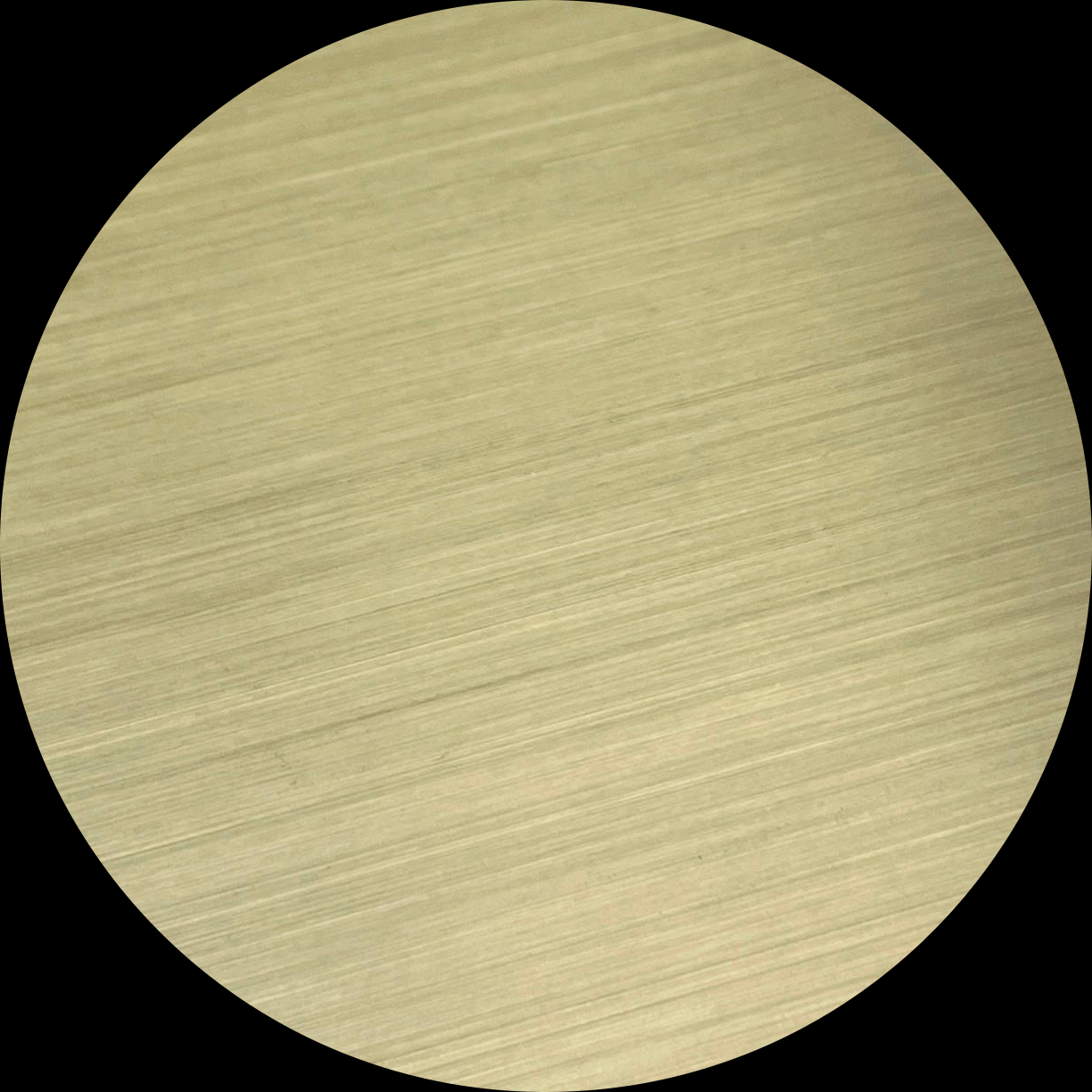 9) S.S. Champagne Brushed-2