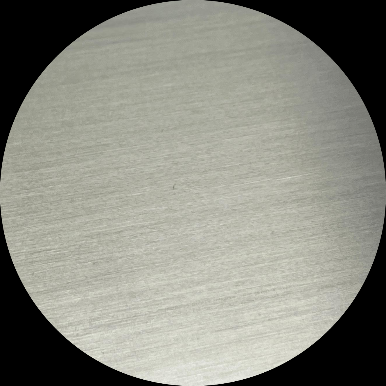 2) S.S. Silver Brushed-2