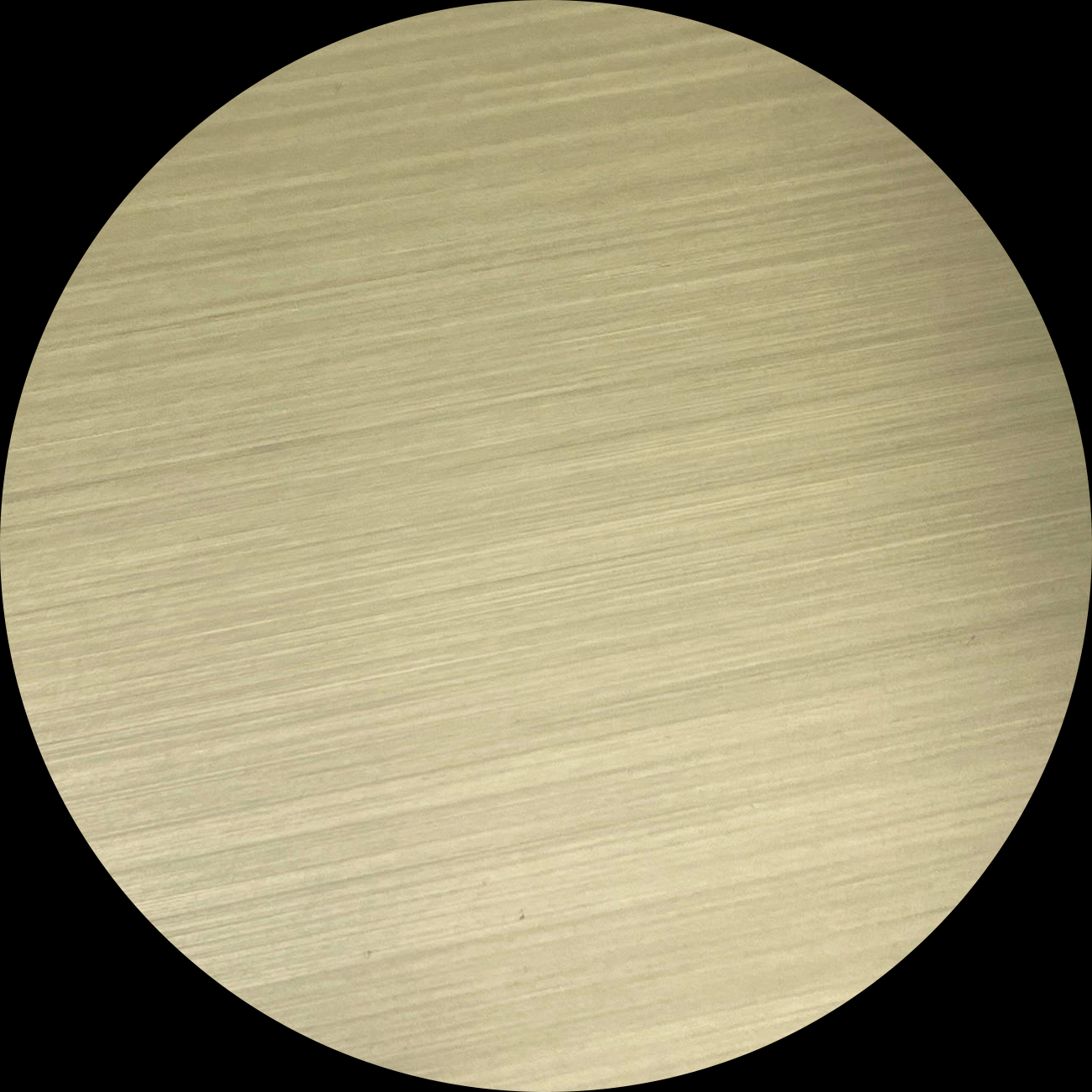 7) S.S. Light Gold Brushed-2