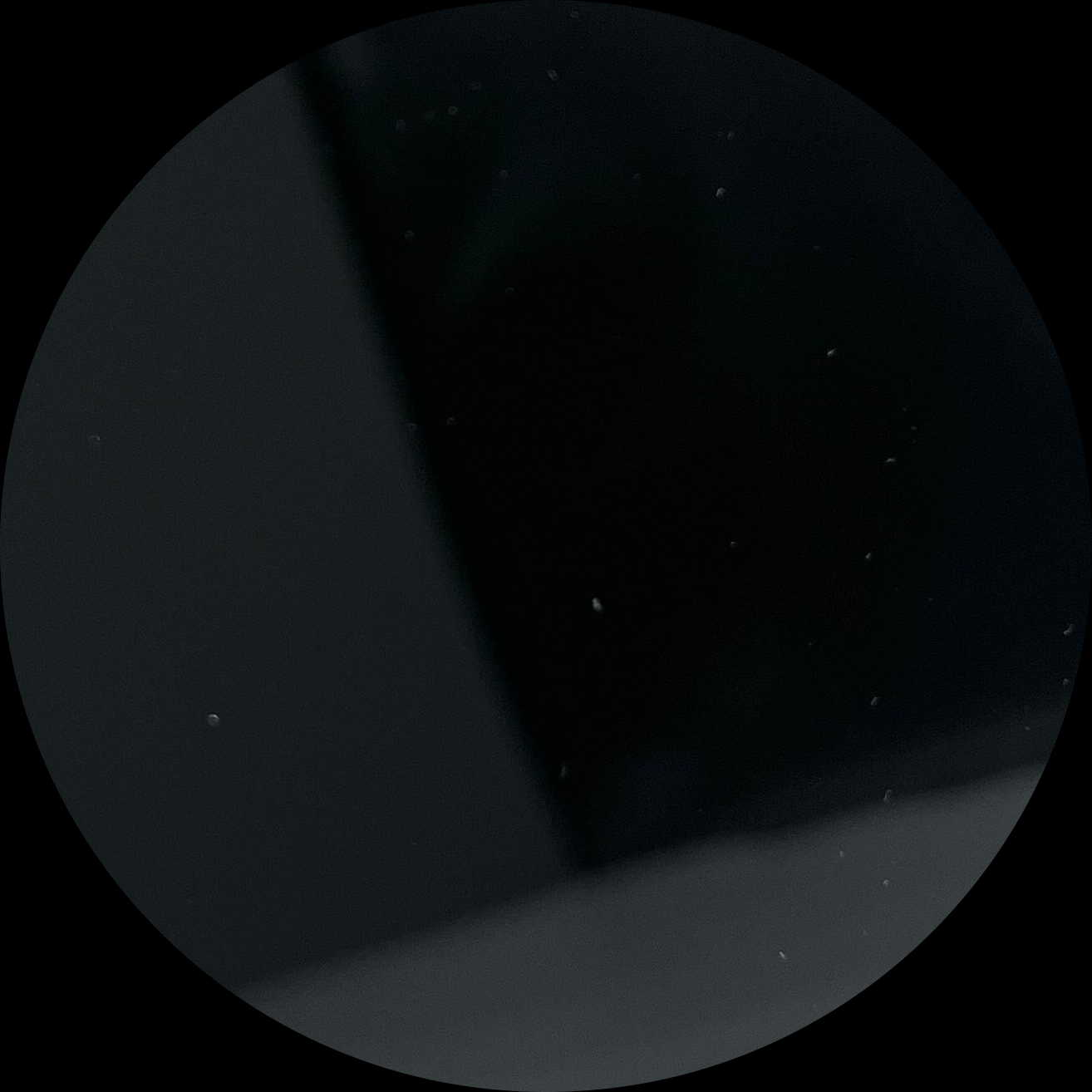 Black Tinted Glass-2