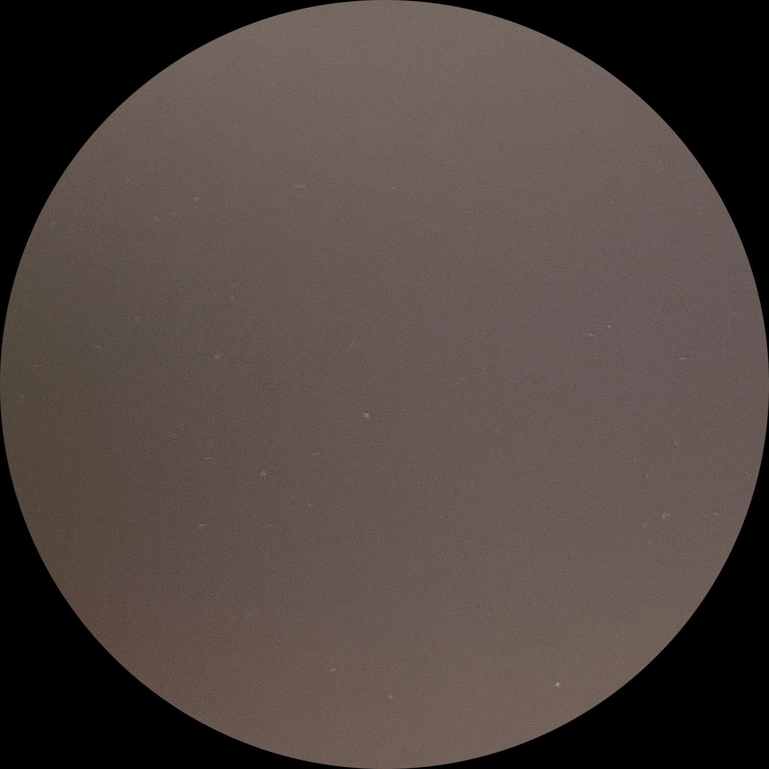 Gray-Brown Frosted Mirror-2