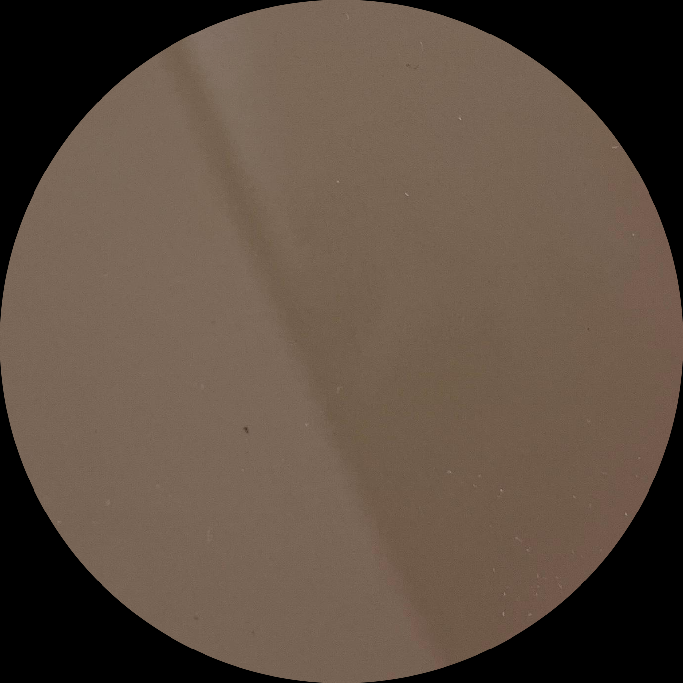 Gray-Brown Tinted Glass2