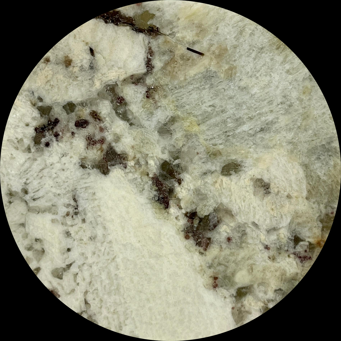Labrador Bianco Marble-2