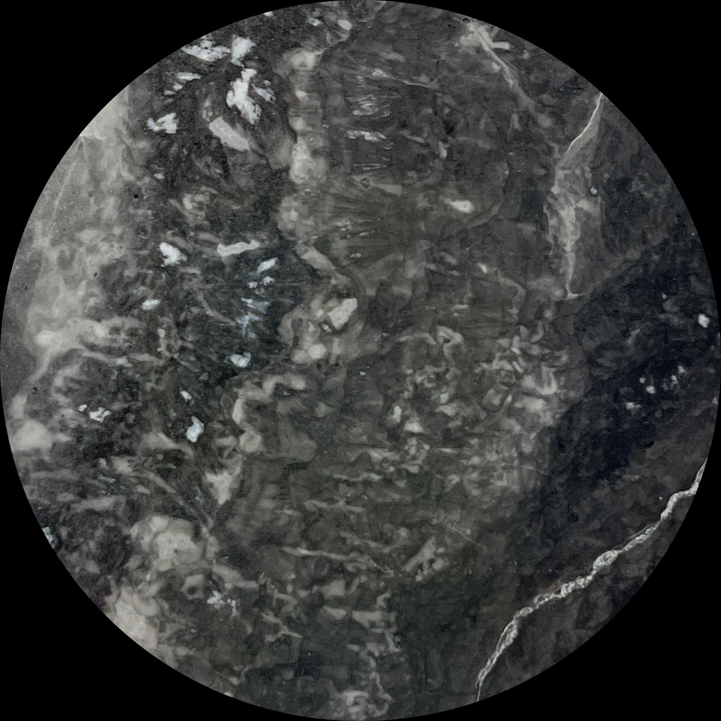 Venice Brown Marble-2